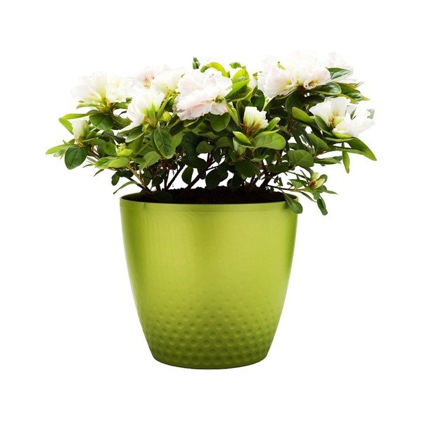 Zaļš puķu pods Plastia Perla, ø 21,5 cm-image-1
