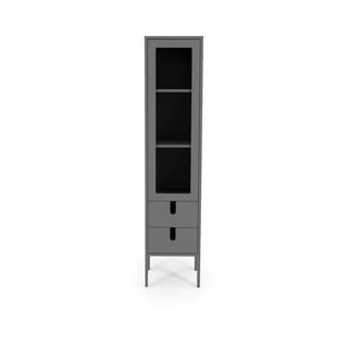 Pelēka vitrīna Tenzo Uno, platums 40 cm