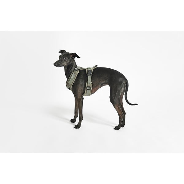 Zaļa plecu siksna XS garums 25 cm Modena Grolive XS – MiaCara-image-1