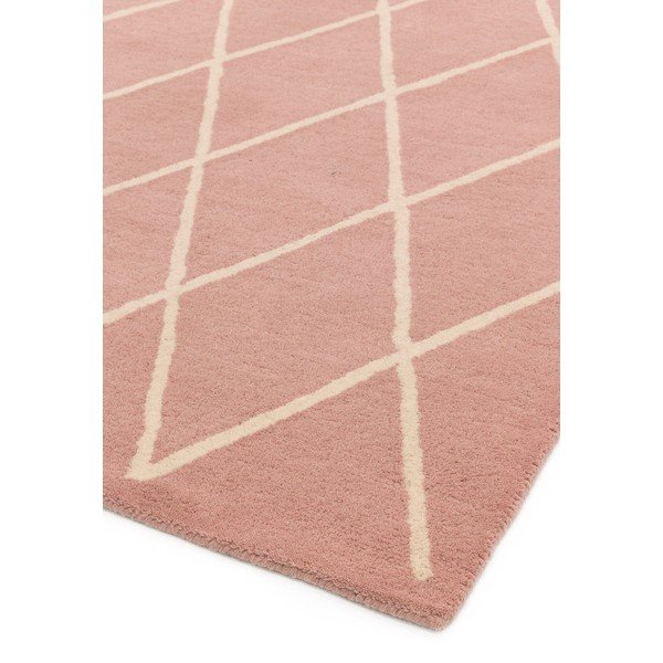 Rozā ar rokām darināts vilnas paklājs 120x170 cm Albany – Asiatic Carpets-image-4