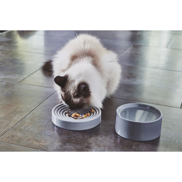 Porcelāna lēnās barošanas bļoda kaķiem ø 16 cm Piatto Concrete S – MiaCara-image-3