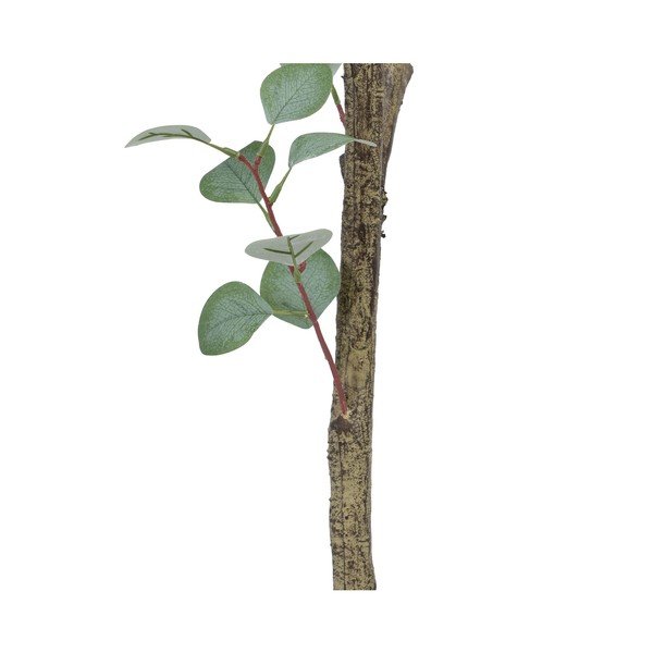 Mākslīgais eikalipts (augstums 180 cm) Eucalyptus – Ixia-image-4