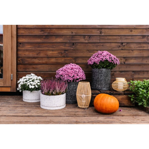 Tumši pelēks puķu pods Bonami Selection Terrazzo, ø 34 cm-image-3