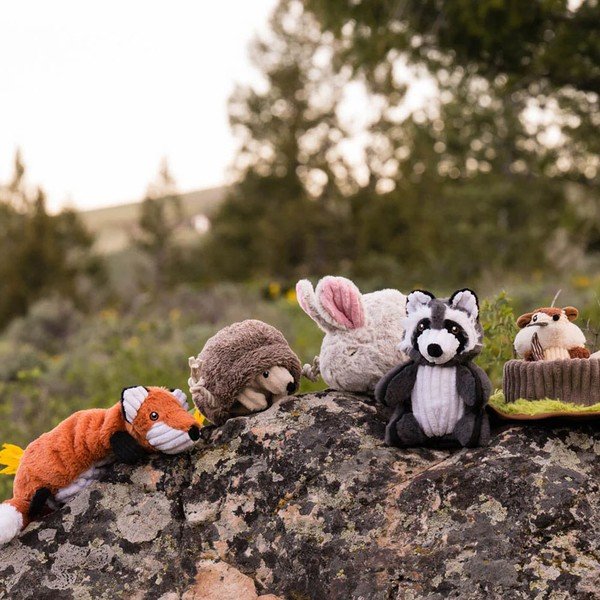 Dāvanu komplekts Forest Friends (5 gab.) – P.L.A.Y.-image-1