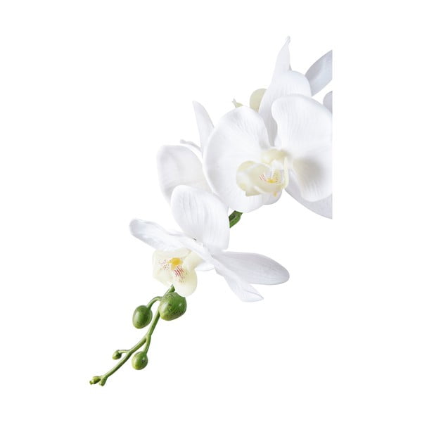 Mākslīgais augs (augstums 47 cm) Orchid – House Nordic-image-2