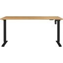 Darba galds ar elektriski regulējamu augstumu 80x160 cm Boras – Germania