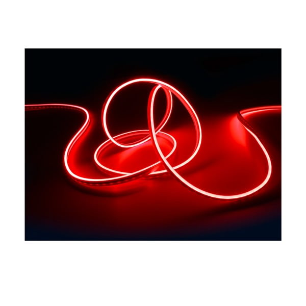 Balta LED virtene 300 cm Neon – Reality-image-4