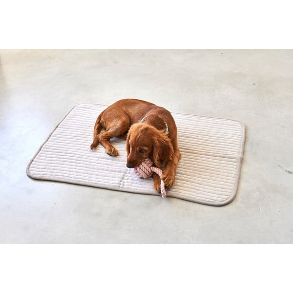 Bēša kokvilnas sega suņiem 90x120 cm Onda Greige L – MiaCara-image-2