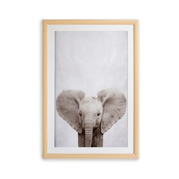 Sienas glezna rāmī Surdic Elephant, 30 x 40 cm