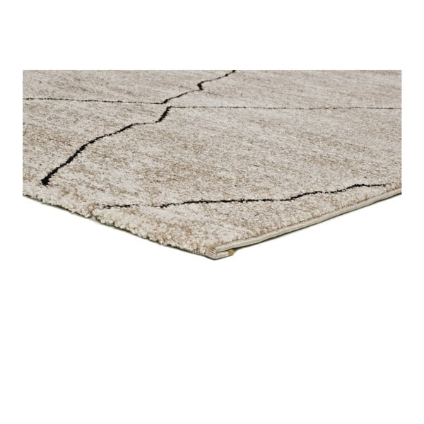 Bēšs paklājs Universal Hydra Beige, 160 x 230 cm-image-2