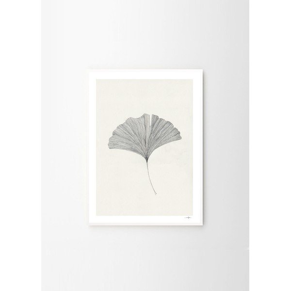 Plakāts 50x70 cm Ginkgo Leaf – Ana Frois – The Poster Club-image-4