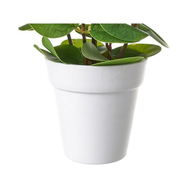 Mākslīgais augs – Casa Selección-image-1