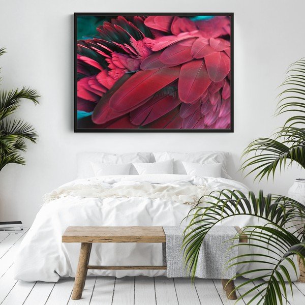 Plakāts DecoKing Feathers Red, 100 x 70 cm-image-2