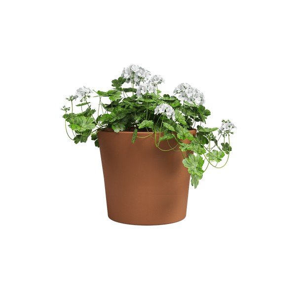Terakotas puķu pods ø 39 cm Manuel – Artevasi-image-2