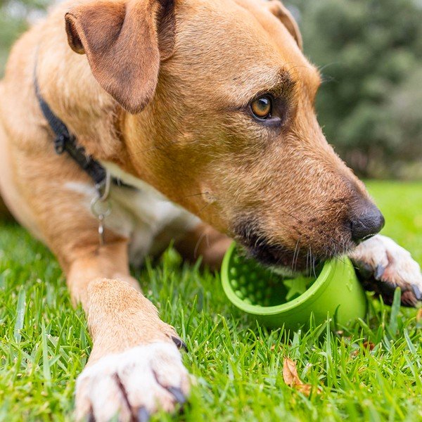 Laizīšanas bļoda Yoggie Pot Green – LickiMat-image-4