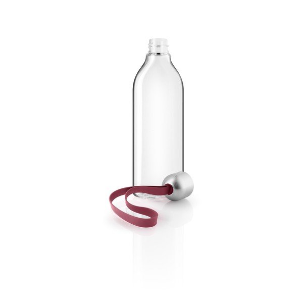 Ūdens pudele ar rozā cilpu Eva Solo Backpack, 500 ml-image-1