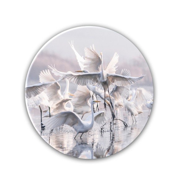Sienas rotājums Styler Ring Herons, ø 70 cm-image-1