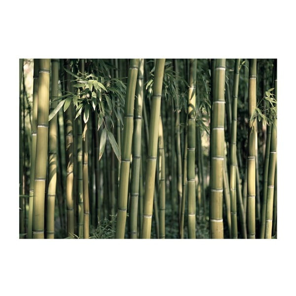 Lielformāta tapetes Artgeist Bamboo Exotic, 400 x 280 cm