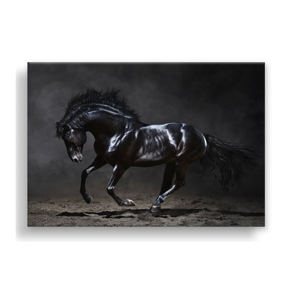 Attēls Styler Canvas Silver Uno Horse, 85 x 113 cm