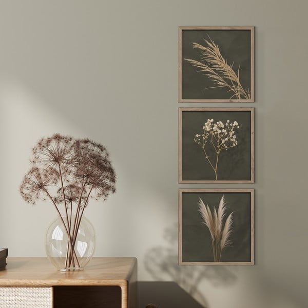 Gleznas (3 gab.) 30x30 cm Pampas – Styler-image-1