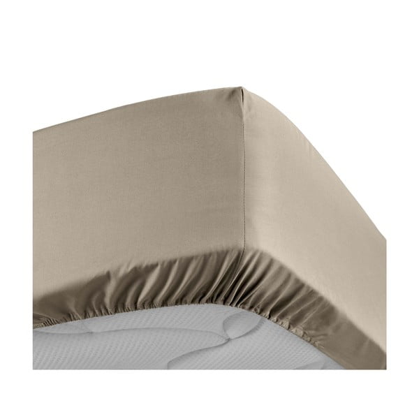 Gaiši brūns palags no kokvilnas perkala ar gumiju 180x200 cm Percaline – douceur d'intérieur-image-3