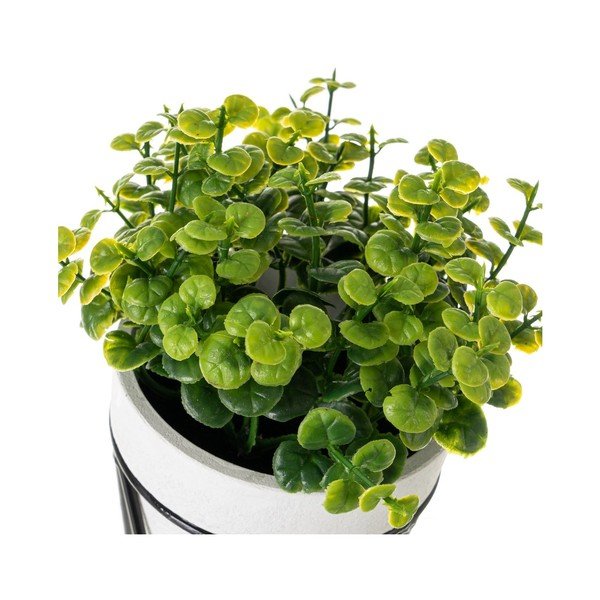 Mākslīgie augi (4 gab.) – Casa Selección-image-2