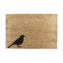 Kokosšķiedras kājslauķis 40x60 cm Bird – Artsy Doormats