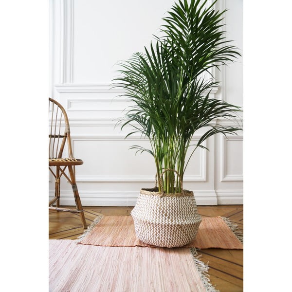 Gaišs uzglabāšanas grozs no jūraszālēm Compactor Zic Zac, ⌀ 35 cm-image-2