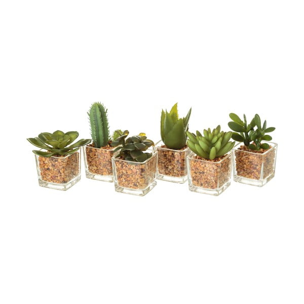 Mākslīgie augi (6 gab.) (augstums 8 cm) Cactus – Casa Selección