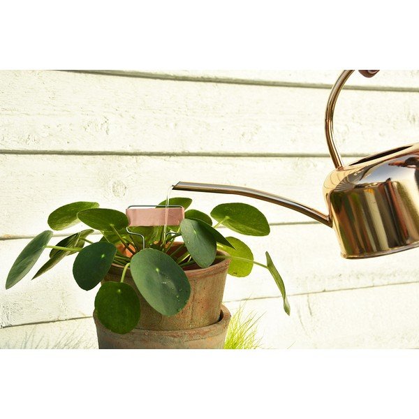 Metāla lejkanna 1 l – Esschert Design-image-3