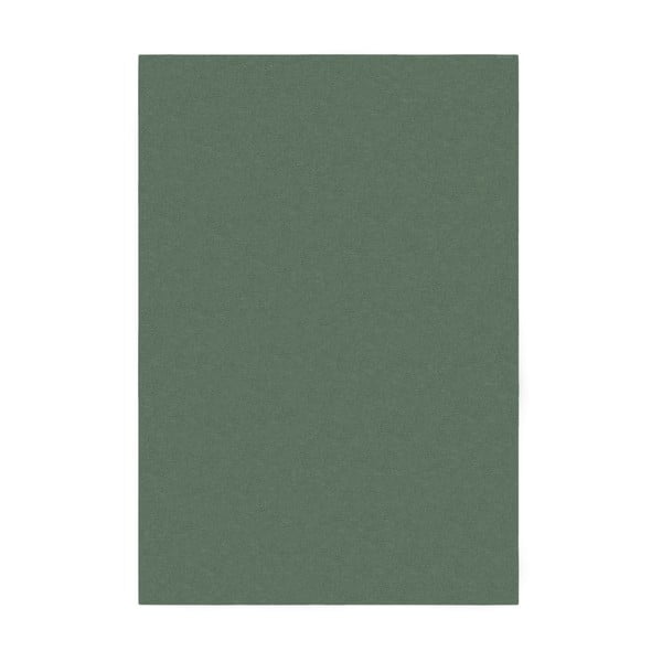 Zaļš paklājs 120x170 cm – Flair Rugs