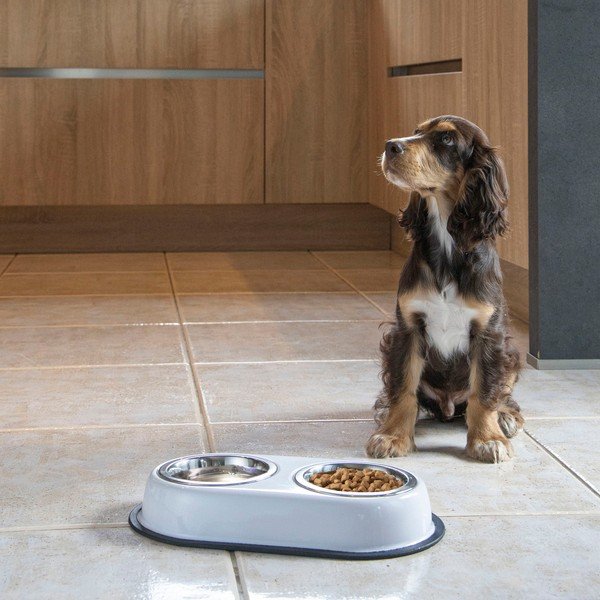 Plastmasas bļodiņu komplekts ar pamatni suņiem – Love Story-image-1