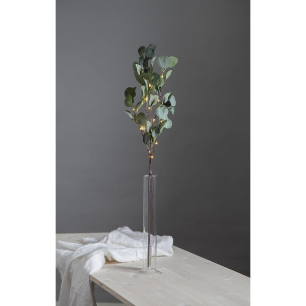 Zaļš LED lampiņu dekors Star Trading Eucalyptus, garums 90 cm-image-2