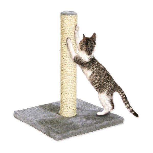 Kaķu nagu asināmais Magic Cat Nora – Plaček Pet Products