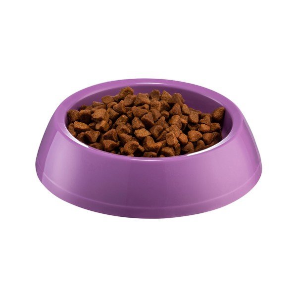 Violeta suņu bļoda Petpetite, ø 14 cm-image-1