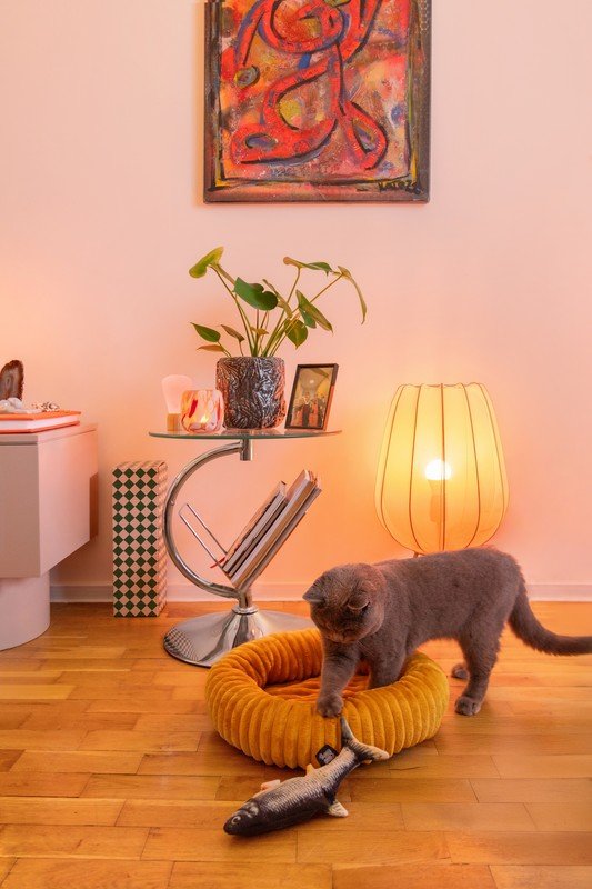 Iedvesma : Bonami ciemojas