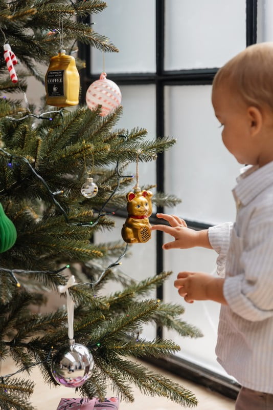 Iedvesma : Ziemassvētki