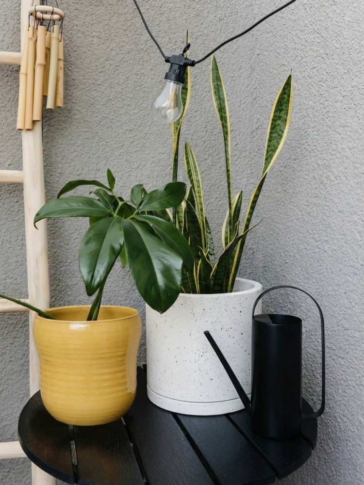 Iedvesma : Balkons un terase, Dārzs