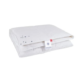 Segas ar spalvu pildījumu