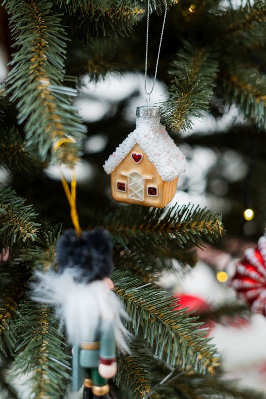 Iedvesma : Ziemassvētki