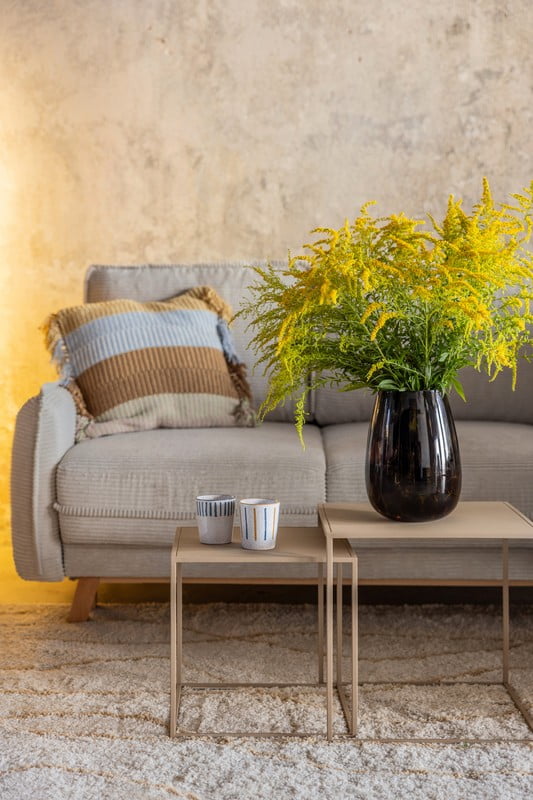 Iedvesma : Dzīvojamā istaba