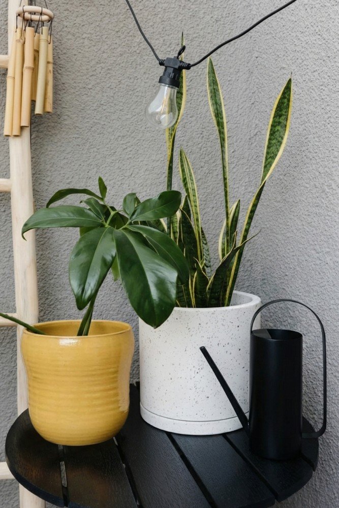 Iedvesma : Balkons un terase, Vasara, Pavasaris