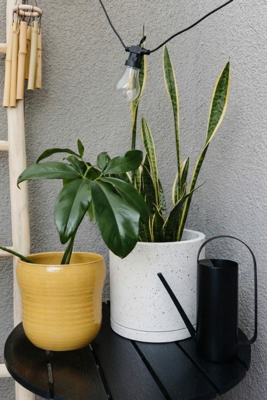 Iedvesma : Balkons un terase, Vasara, Pavasaris