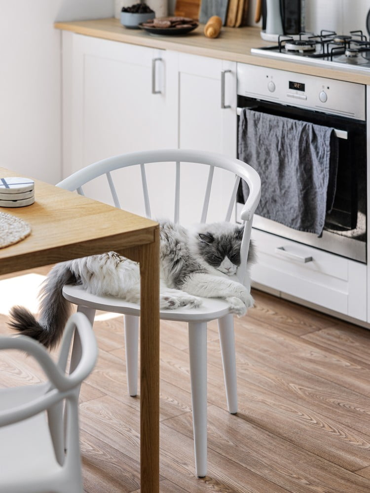 Iedvesma : Virtuve un ēdamistaba