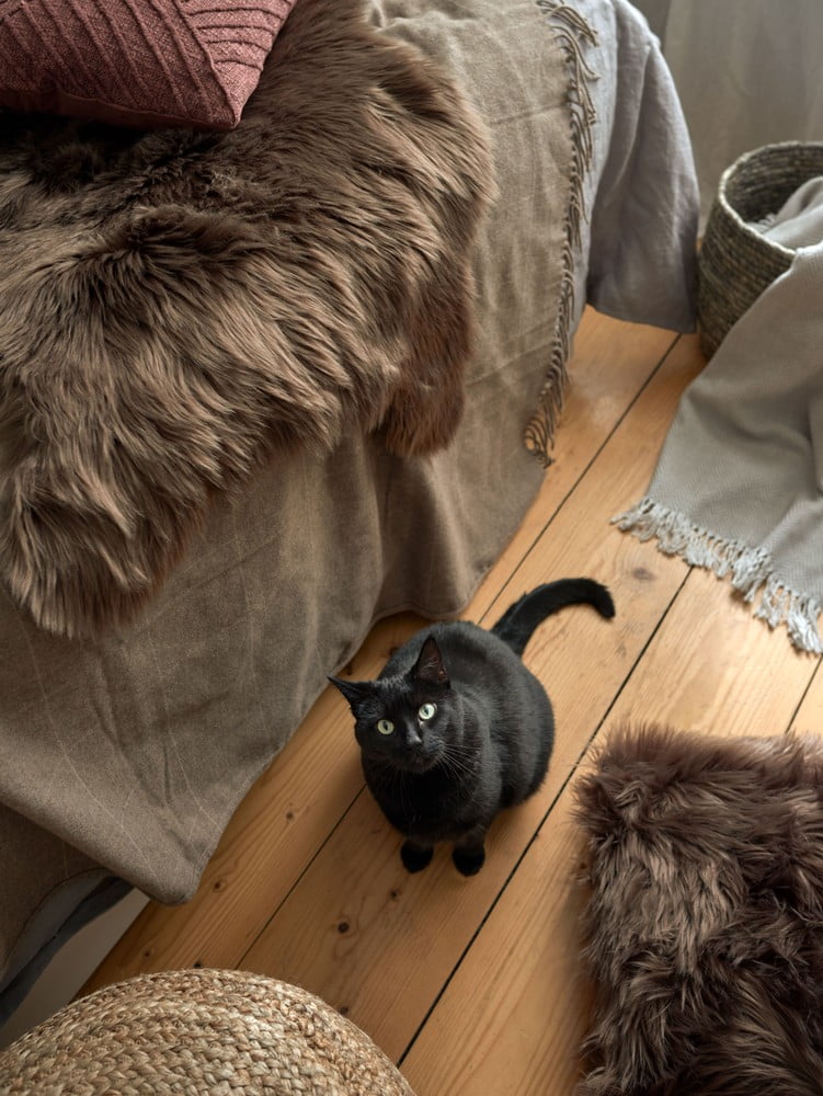 Iedvesma : Guļamistaba