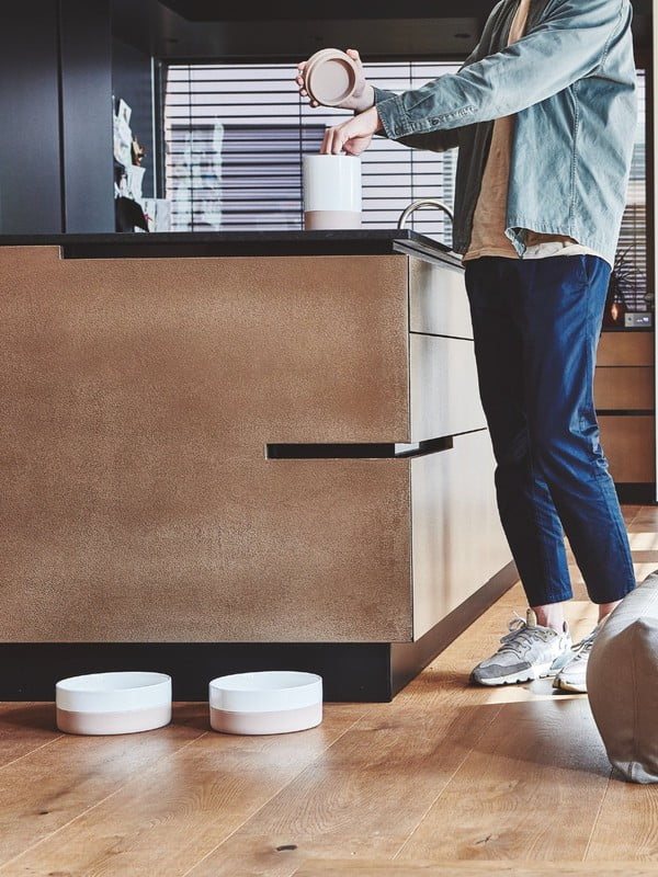 Iedvesma : Skandināvu stils, Mājdzīvnieki