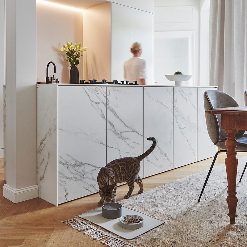 Iedvesma : Mājdzīvnieki