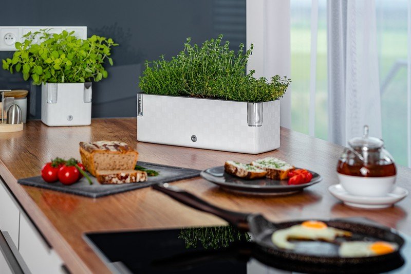 Iedvesma : Virtuve un ēdamistaba, Pavasaris