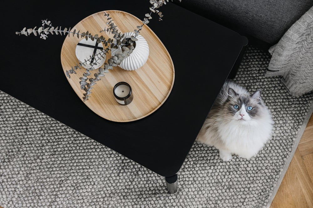 Iedvesma : Dzīvojamā istaba, Skandināvu stils