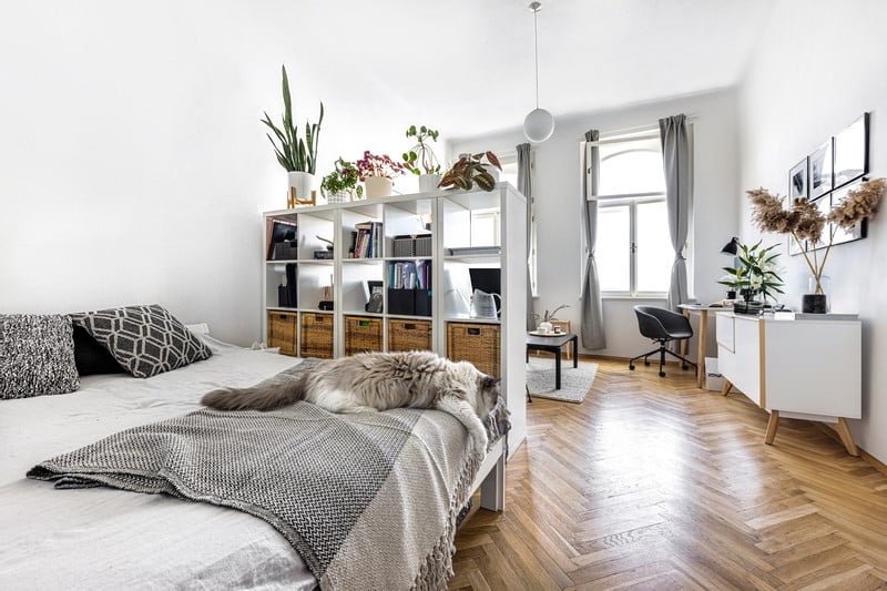 Iedvesma : Dzīvojamā istaba, Guļamistaba, Skandināvu stils